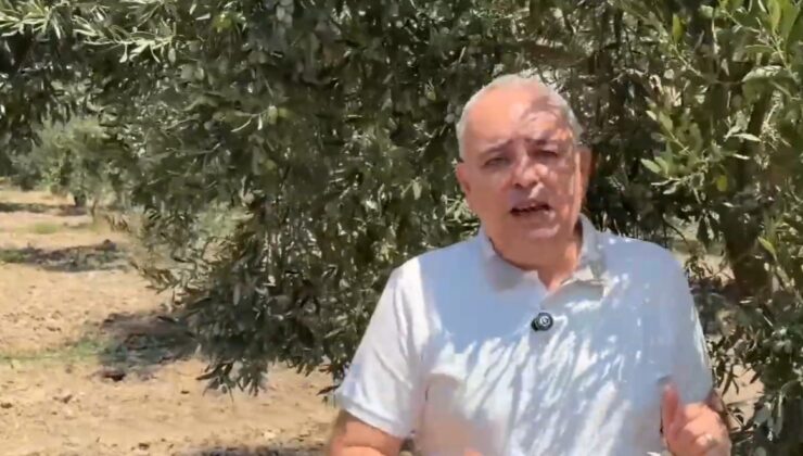Vehbi Bakırlıoğlu, Dost Trump’tan zeytinyağına yüzde 12,5’lik darbe