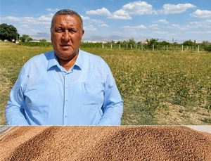 Gürer: Nohutta İthalat 5 Yılda 4 Kat Arttı