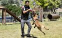 Ankara’da K9 Köpekleri Park ve Turistik Alanlarda Güvenliği Sağlıyor