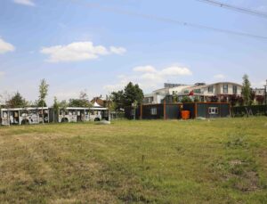 Ankara’da kedilere özel rehabilitasyon ve yaşam merkezi hizmete girdi