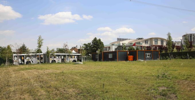 Ankara’da kedilere özel rehabilitasyon ve yaşam merkezi hizmete girdi