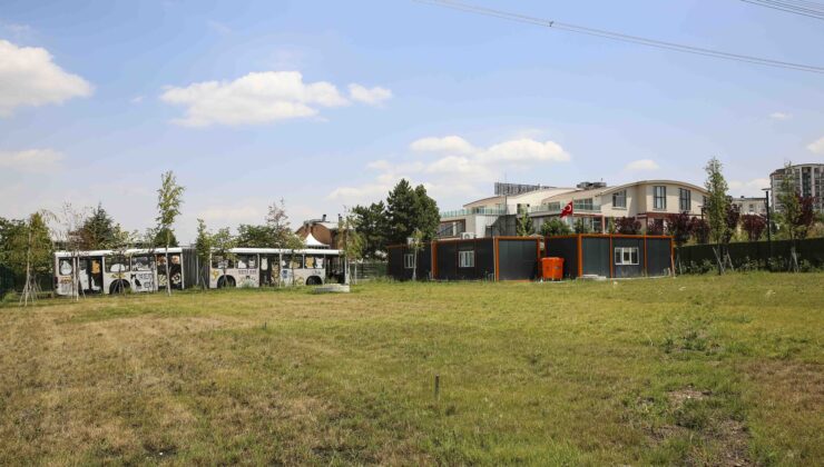 Ankara’da kedilere özel rehabilitasyon ve yaşam merkezi hizmete girdi