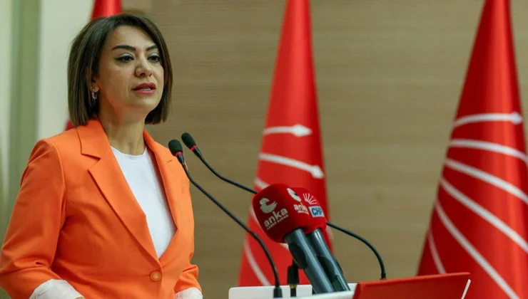 Yeni Parti Milletvekili Gamze Taşcıer, Yoksulluğu Yaratan Ekonomik Model İle Yoksulluğu Yöneten Sosyal Politika Aynı Sistemin İki Parçası