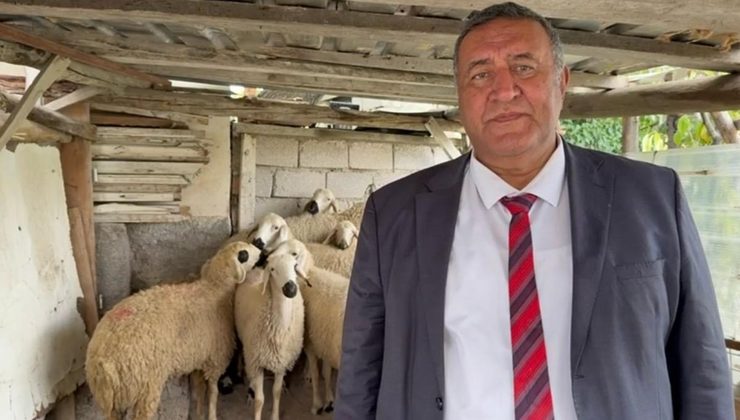 CHP’li Ömer Fethi Gürer Hayvancılıktaki Dev Kaybı Gözler Önüne Serdi: Sütte 2,1 Milyon Ton Kayıp!