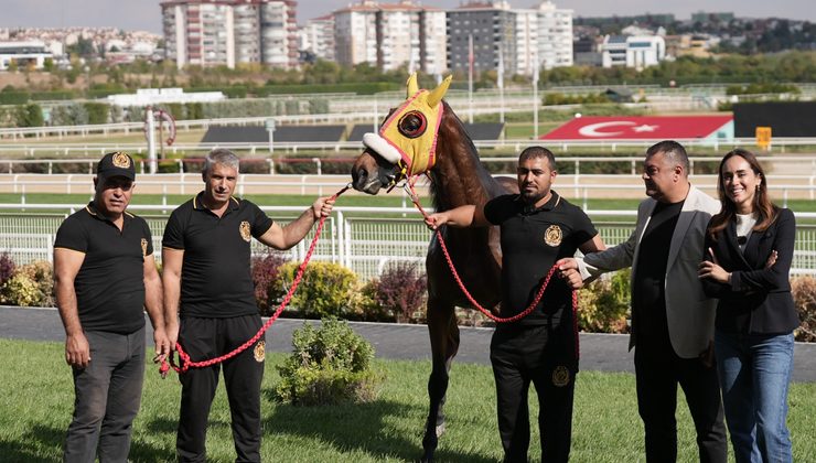 Atatürk’ün Nalbantının Torunundan Tarihi Başarı: Gazi Şampiyonu Bay Nalçakan’la Yeni Hedef!