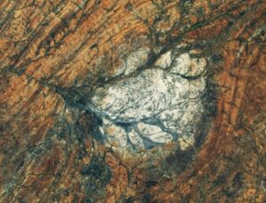 NASA’nın Landsat 9 Görüntülerinde Rupert Körfezi’nin Kahverengi Suları