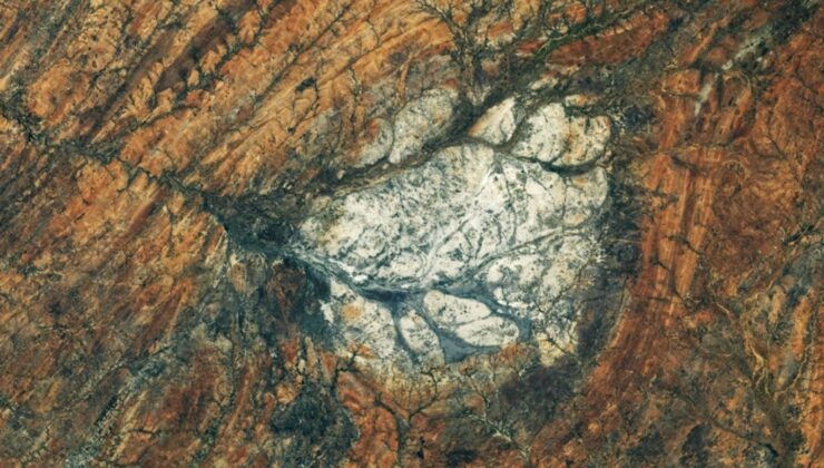 NASA’nın Landsat 9 Görüntülerinde Rupert Körfezi’nin Kahverengi Suları