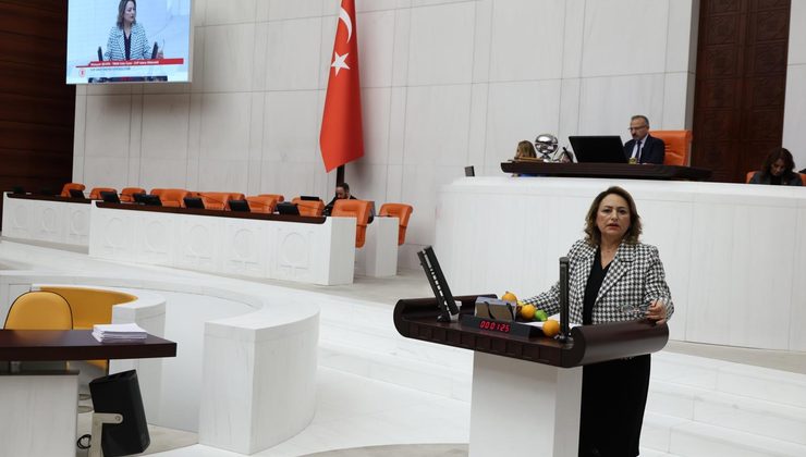 Meclis Kürsüsünde Çarpıcı Protesto: CHP’li Müzeyyen Şevkin Narenciyeleri Kürsüye Döktü!
