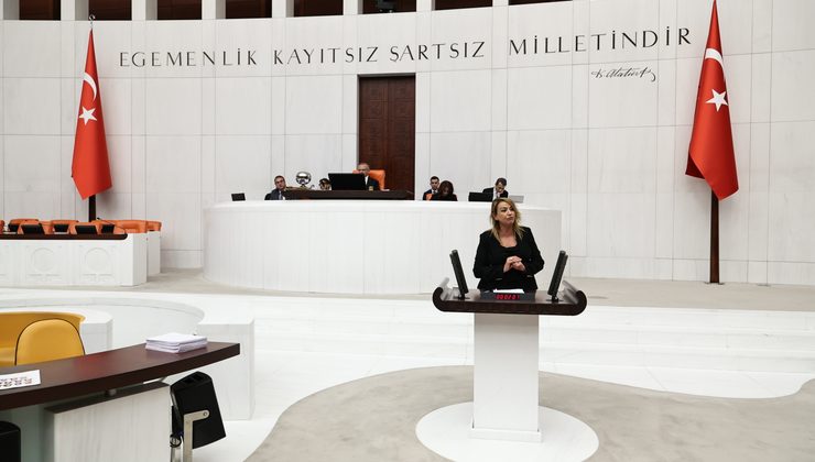 Nermin Yıldırım Kara, fon krizi hakkında TBMM Genel Kurulunda bir konuşma yaptı